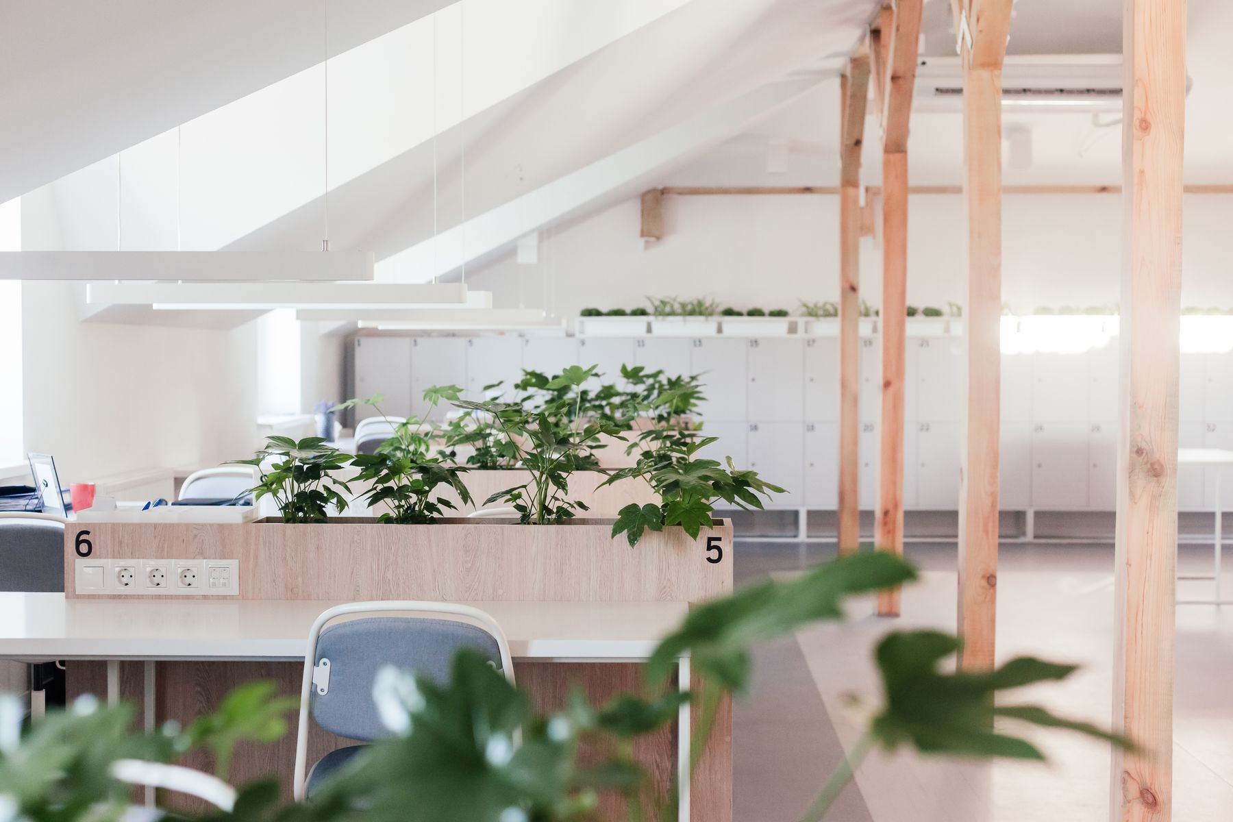 Oficina diáfana con plantas y mesas de madera